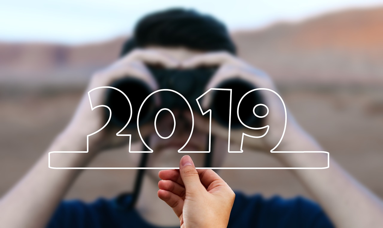 2025澳门精准正版免费，稳固计划实施_必中猪