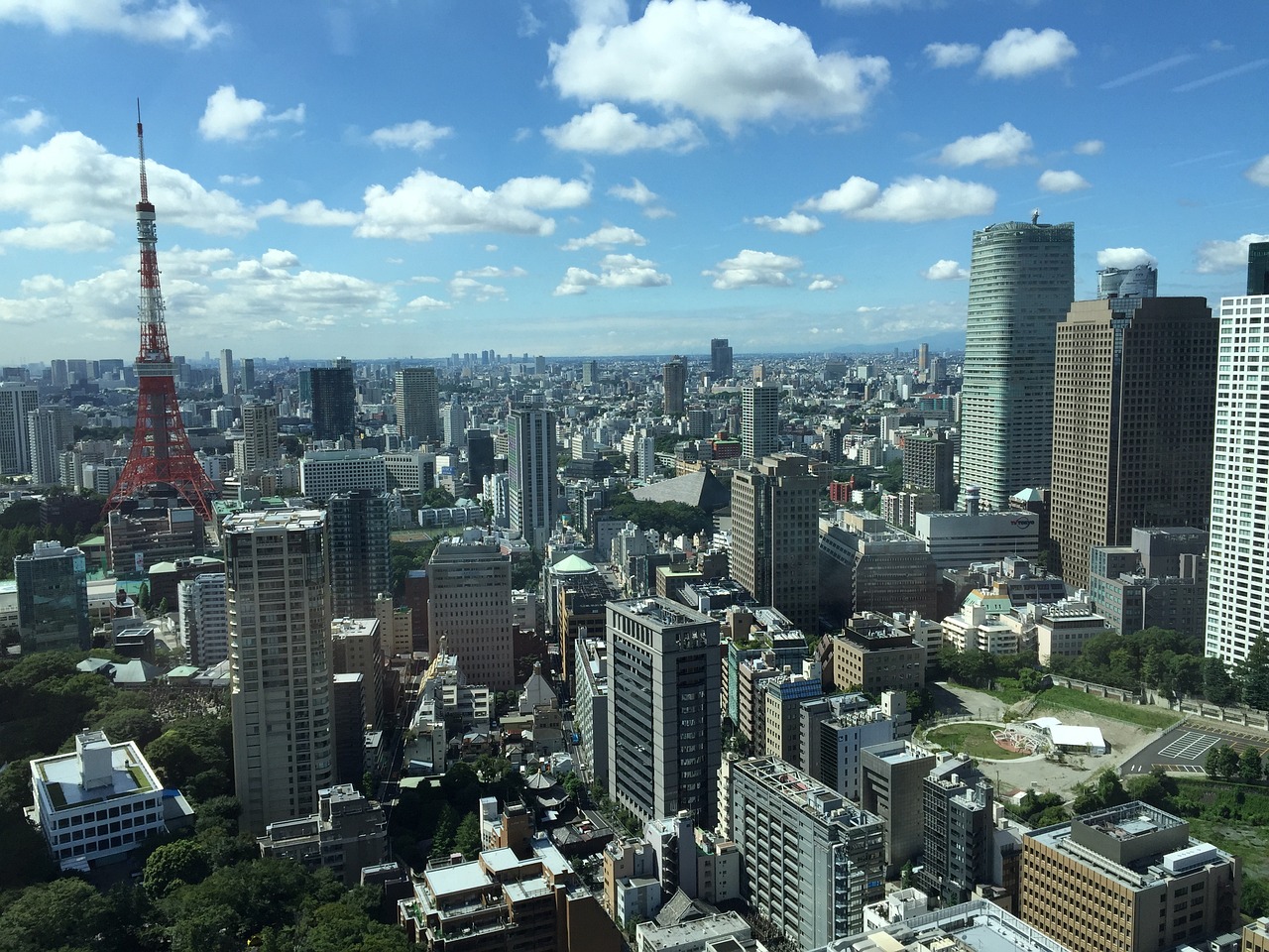 最新楼盘房价及趋势分析概览