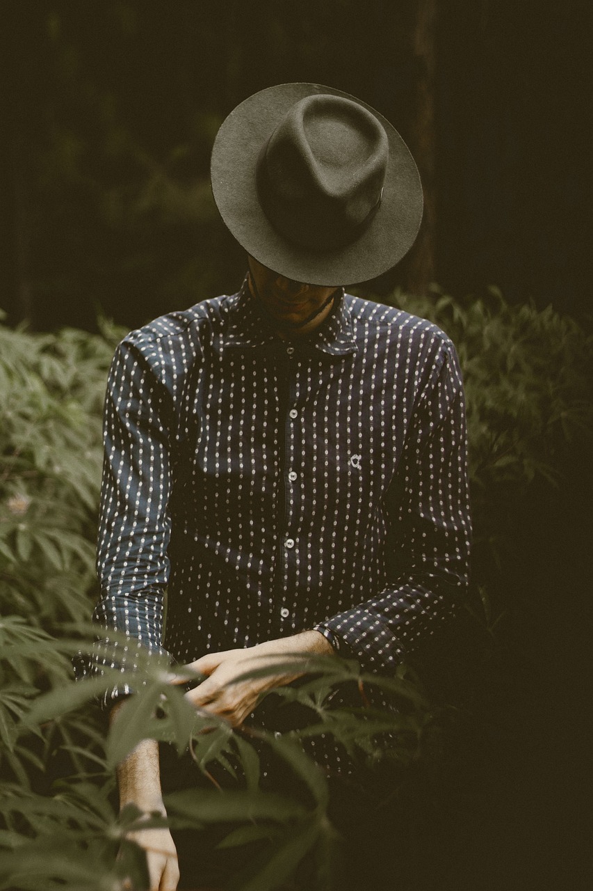不交税的明星，道德底线与法律责任的探讨与反思