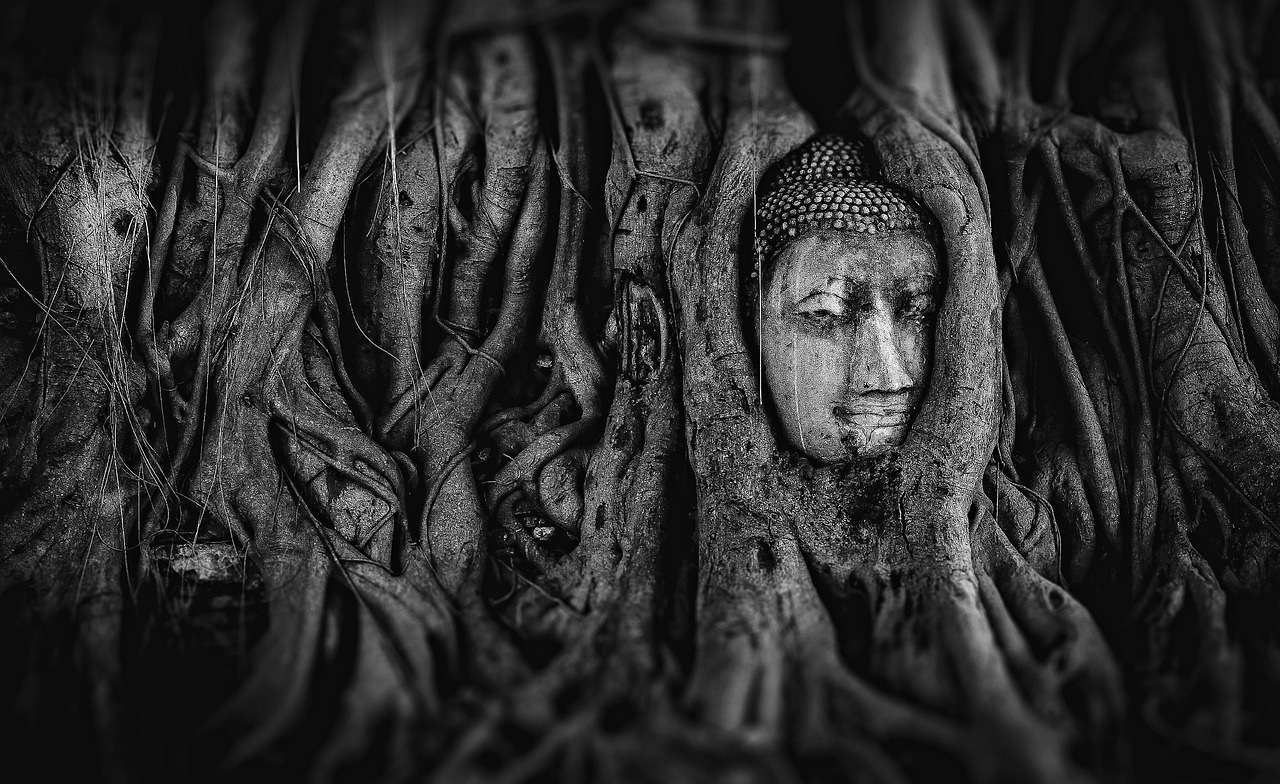 探索神秘世界的奇幻之旅，剑灵动漫