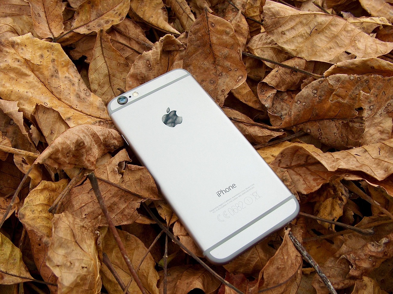 苹果iPhone 6 Plus上市价格分析与预测