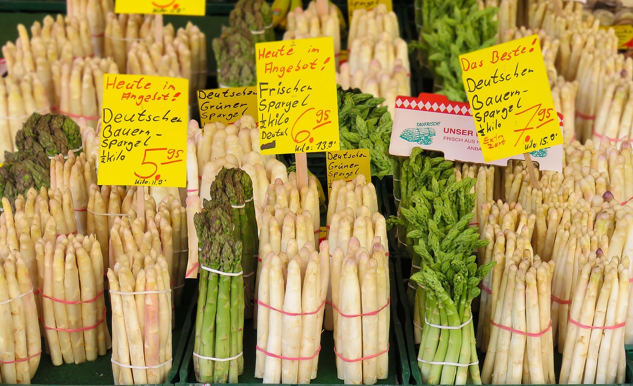 蔬菜行情价格网，连接市场与消费者的桥梁