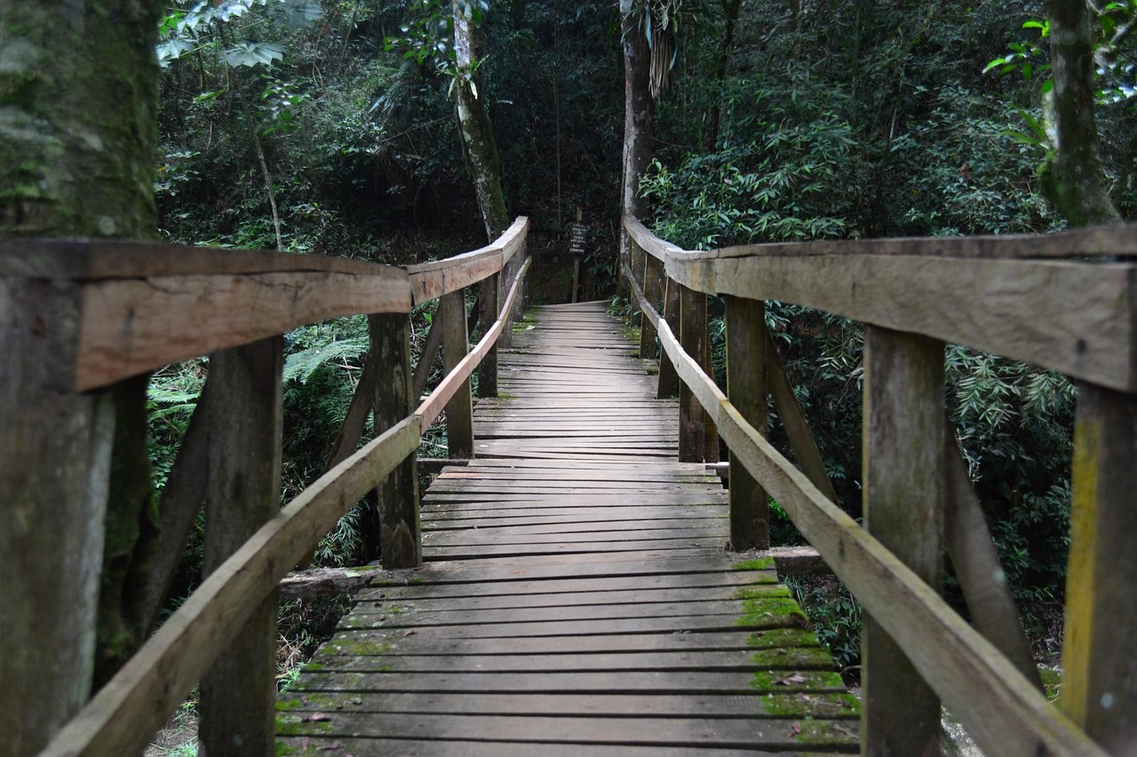 烟雨墨 第4页