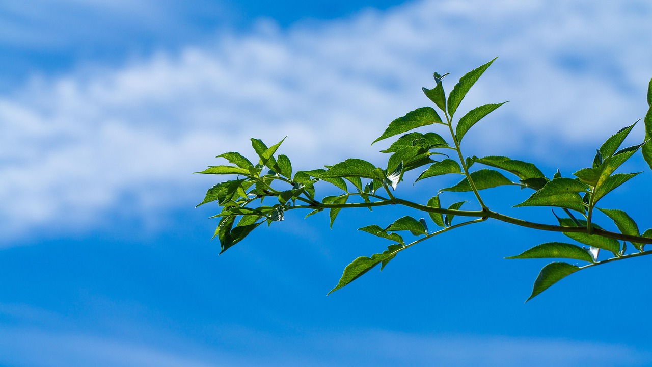 广州最新疫情动态，坚定信心，科学防控，共同抗击疫情