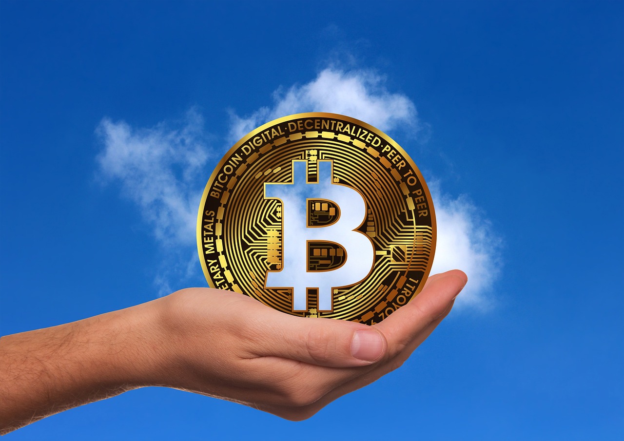 青岛玉米价格最新行情及分析概述