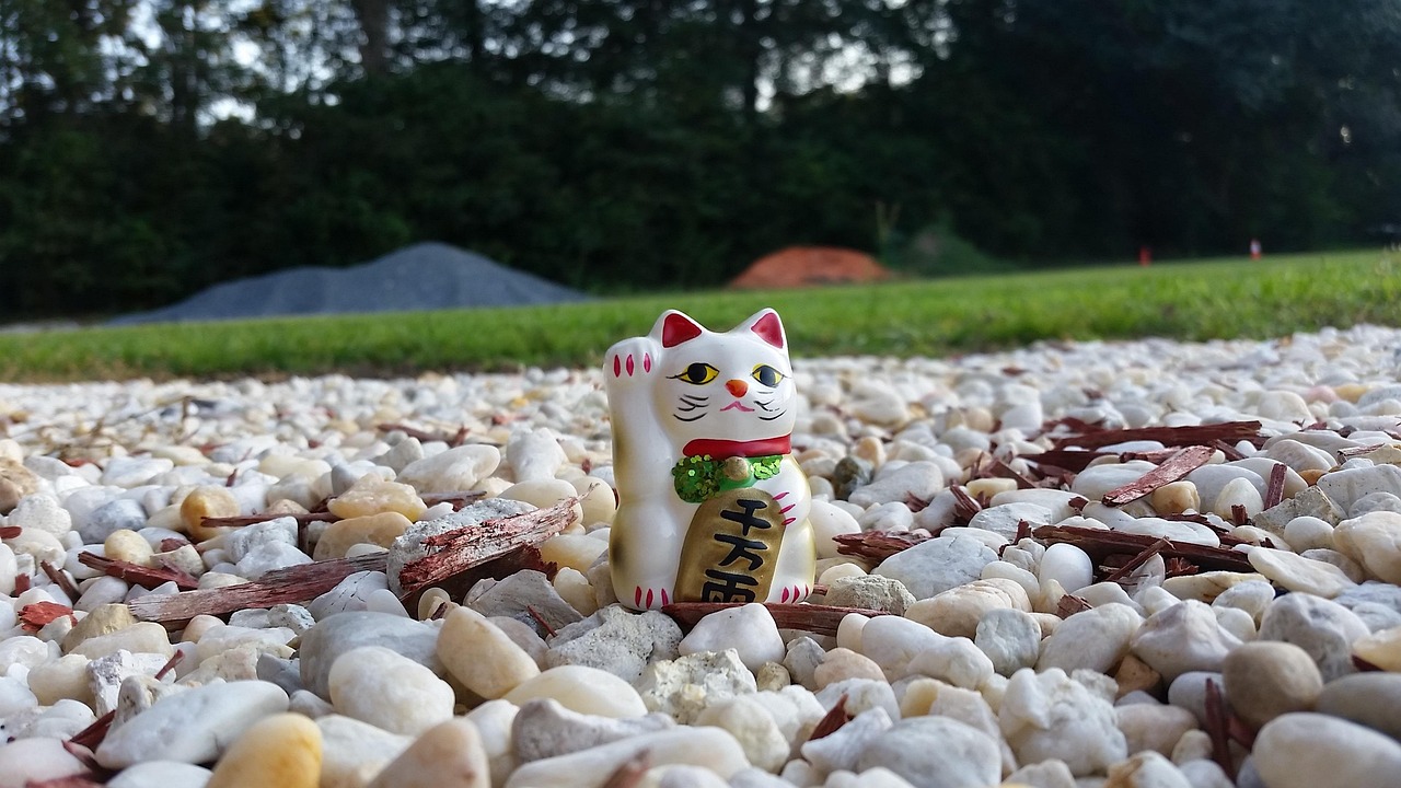 动物动漫探秘，生动有趣的动画世界