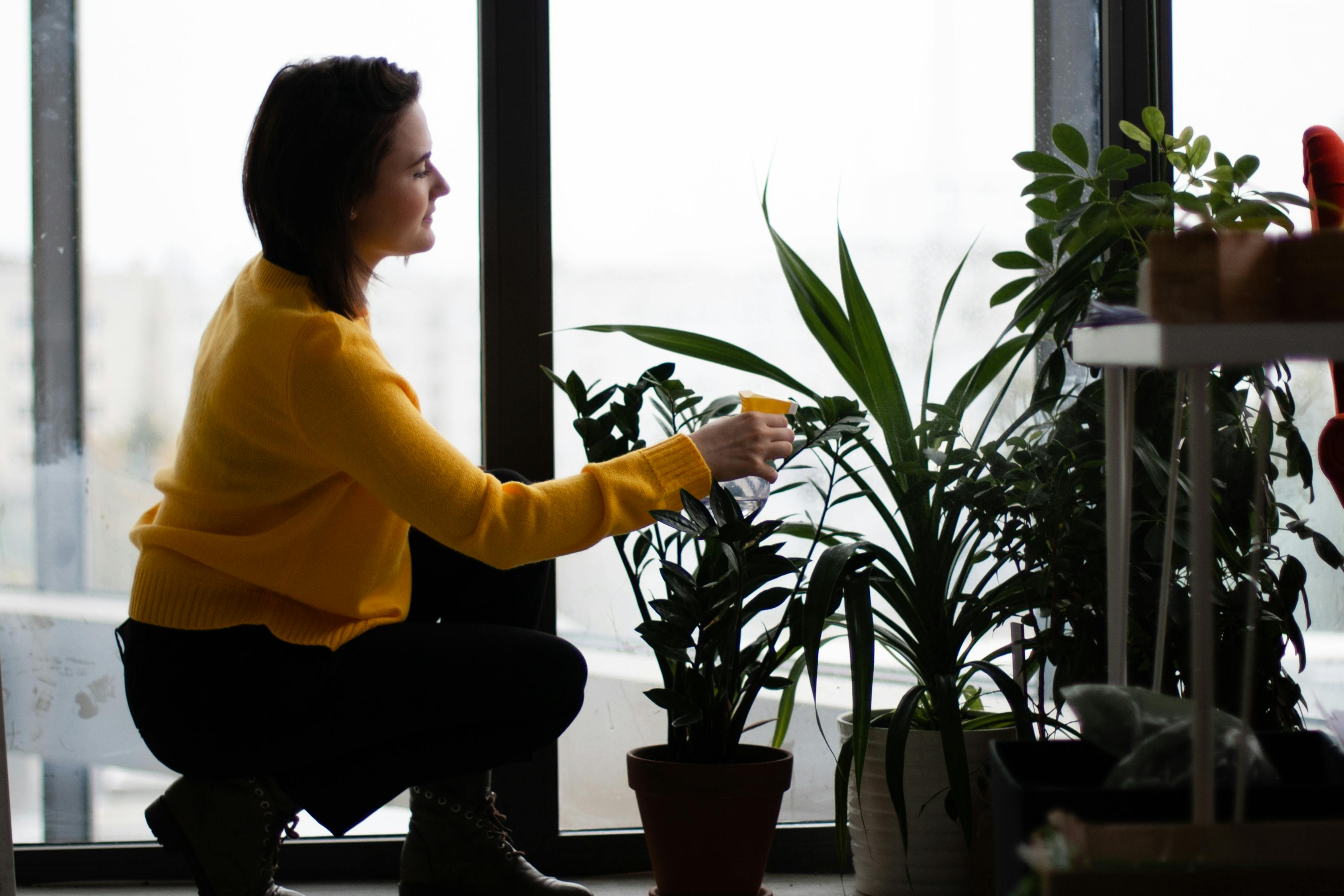 女生动漫头像高清的魅力与精选