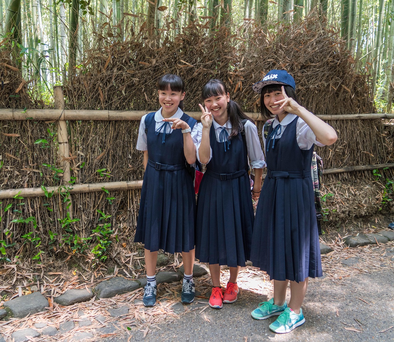 电车与动漫，梦幻交织之旅