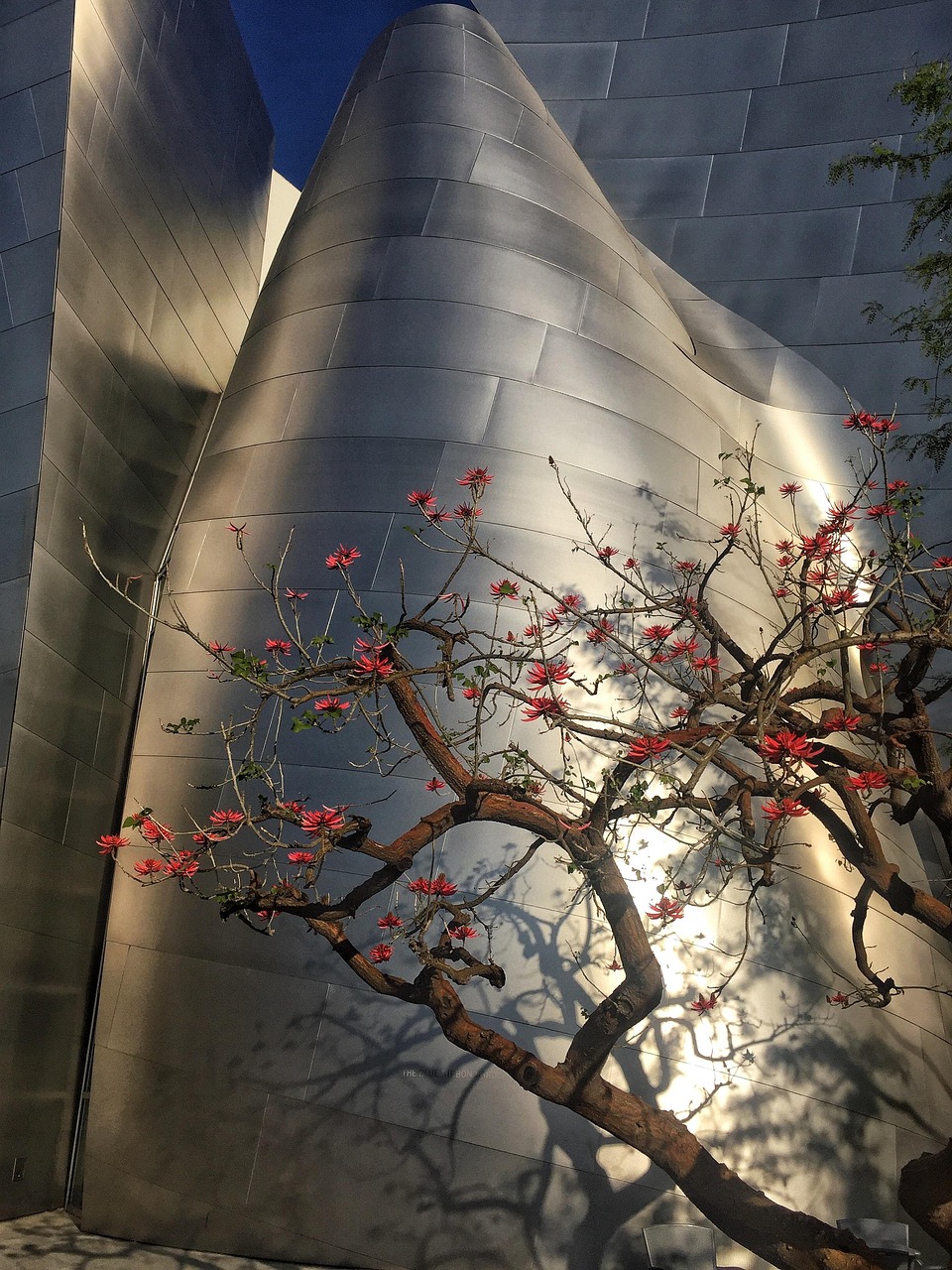 万州未来城最新动态，揭秘城市发展的未来蓝图