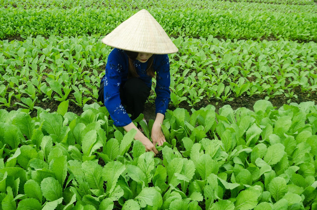 广西河池化工最新动态更新，关注河池化工的最新发展动态