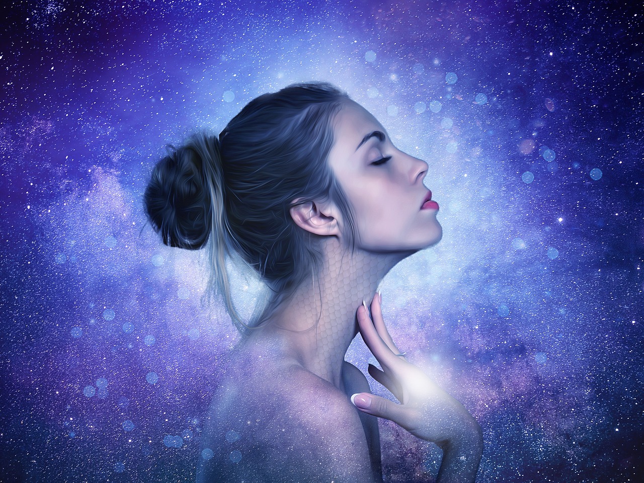 燮明星，璀璨之光，娱乐圈的闪耀之星
