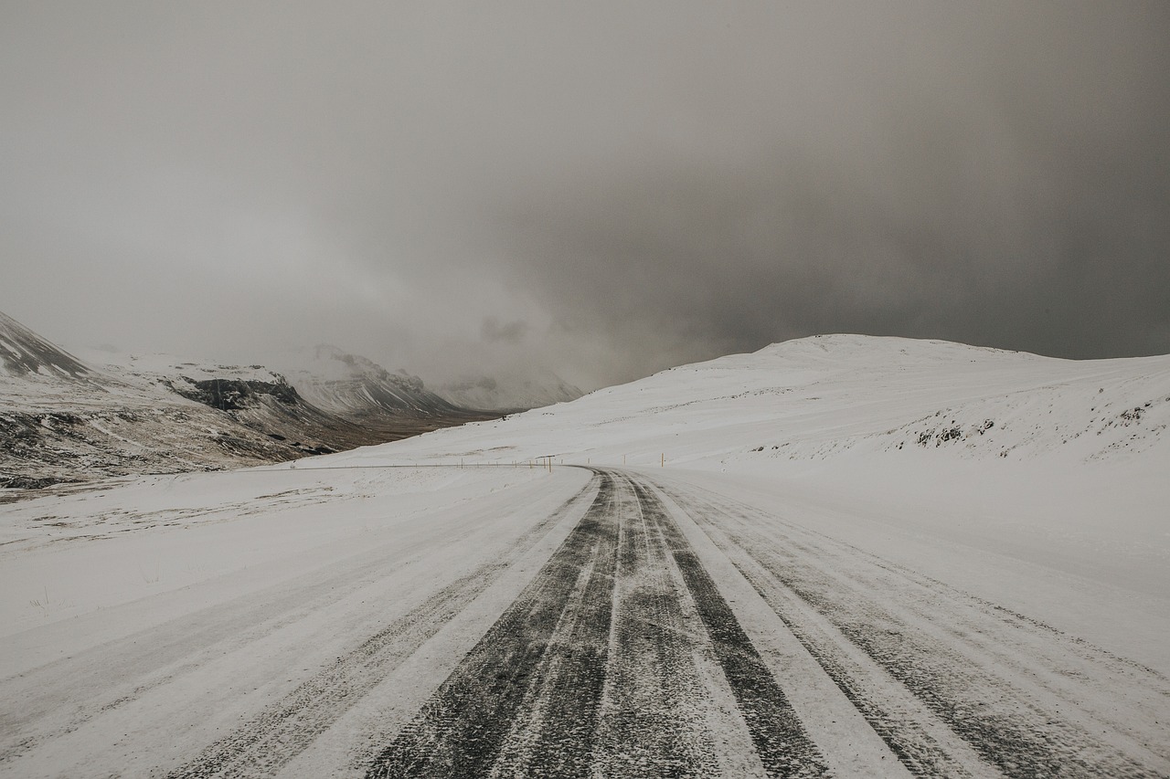 秦菲雪人生篇章全集，跨越时空的情感史诗之旅