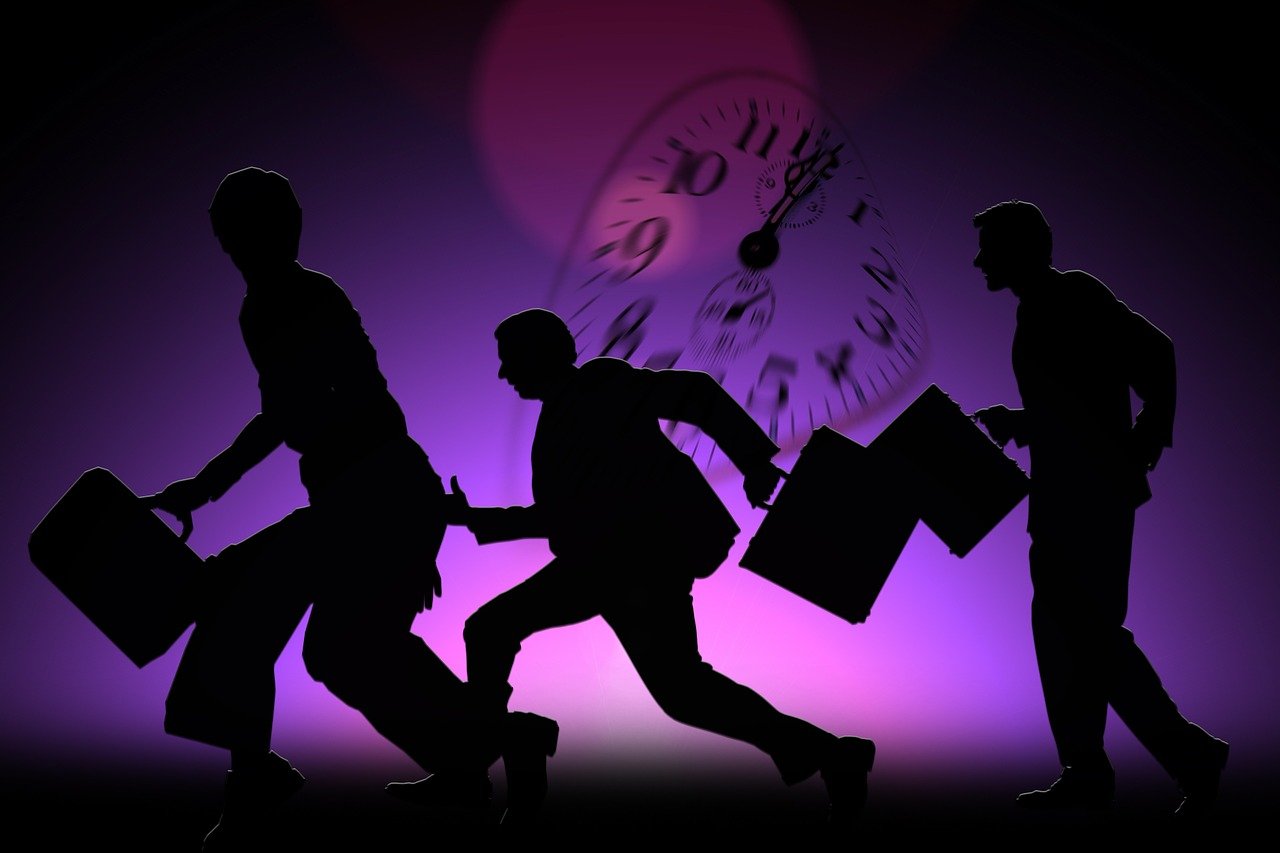 明星斗牛,娱乐与竞技的璀璨融合