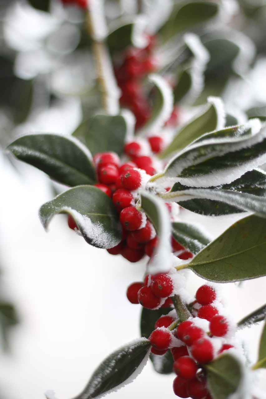 外汇实时行情动态与市场趋势洞悉