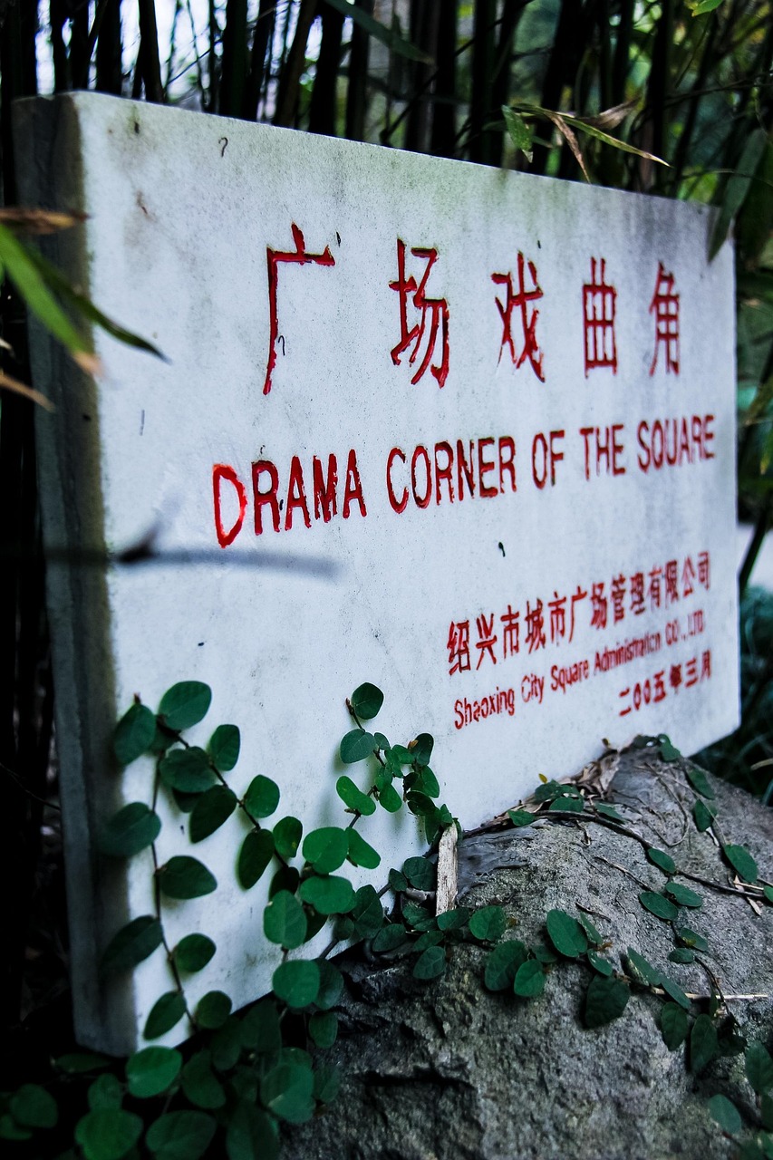 绵阳轻轨最新动态，城市绿色发展的新篇章启动