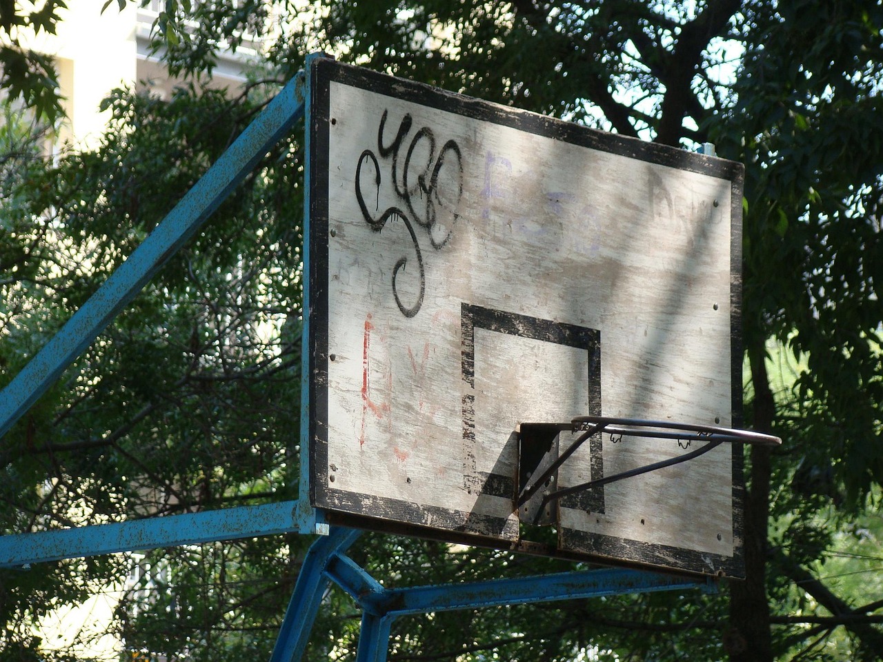 中央领导动态资讯,聚焦新时代领导集体的决策与行动