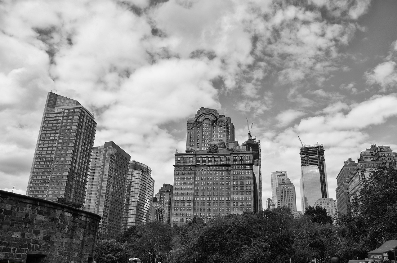 顺鑫农业股票投资潜力与市场前景深度解析