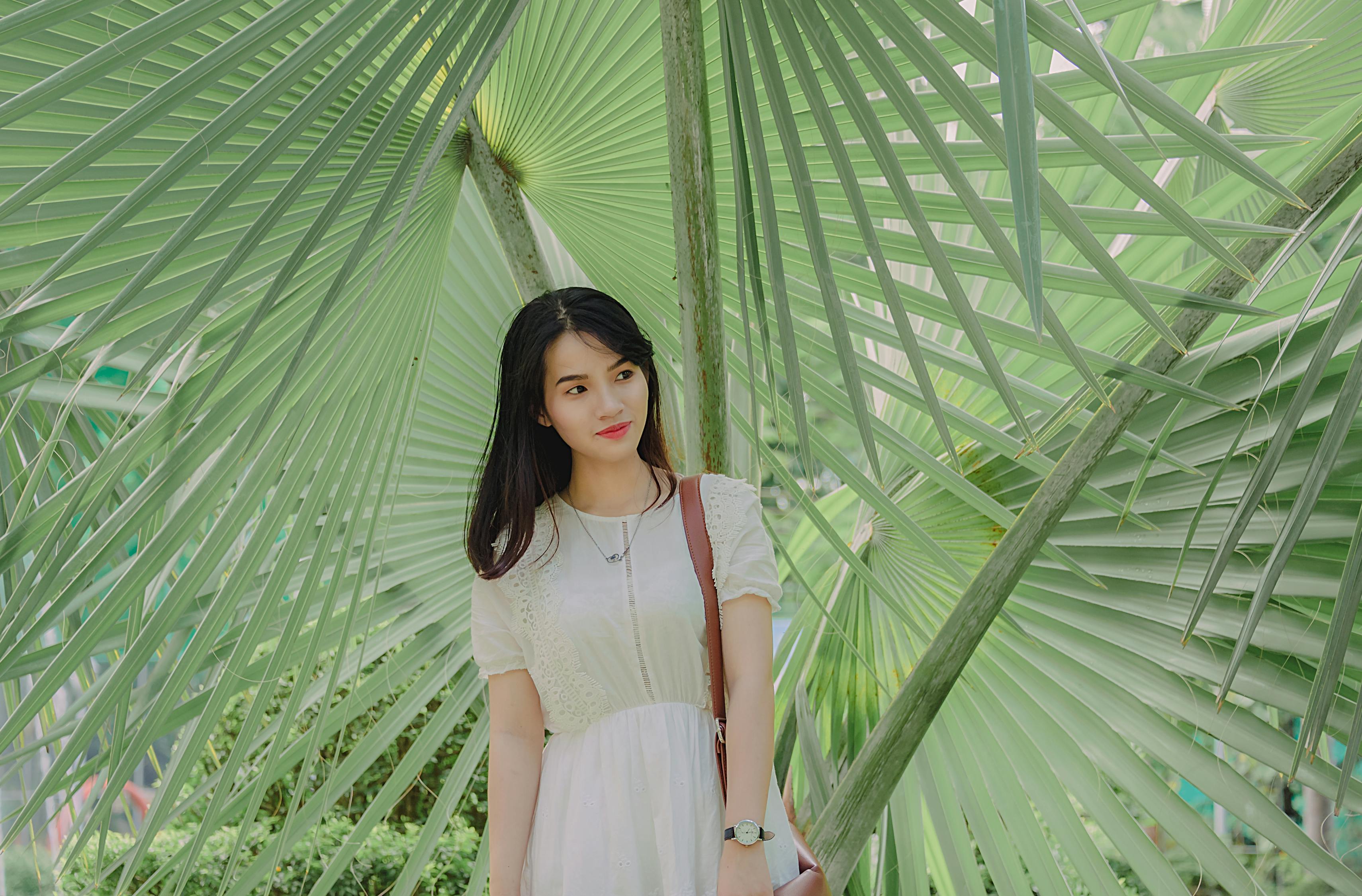动漫女角色，璀璨明珠的魅力与迷人风采