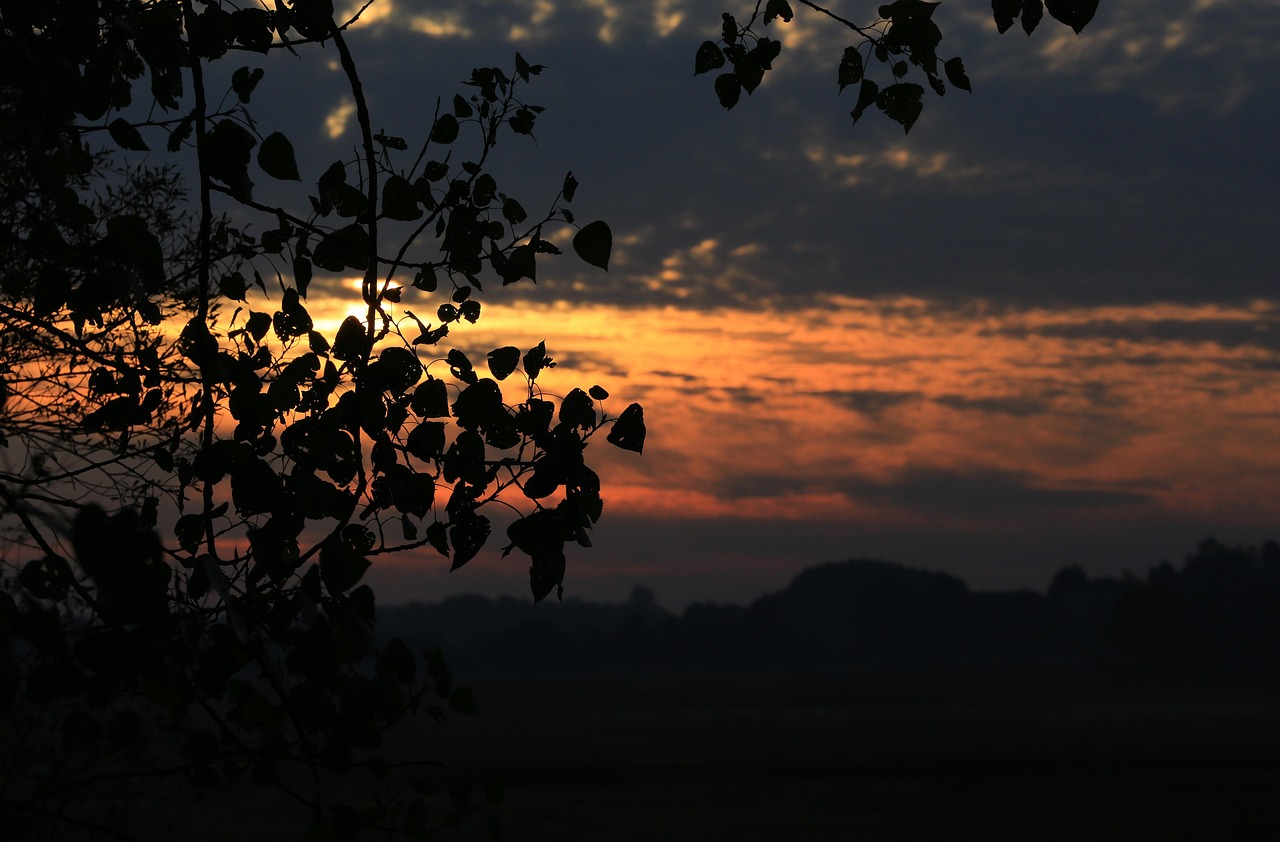 波兰性比赛的独特魅力与文化内涵探索