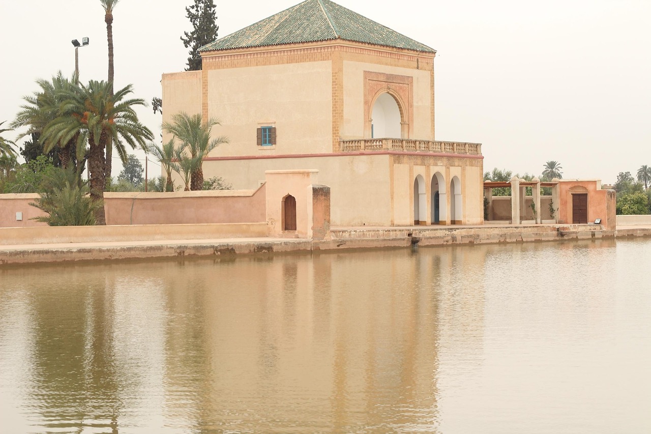 青岛最新动态,城市发展的脉搏与活力四溢的节奏