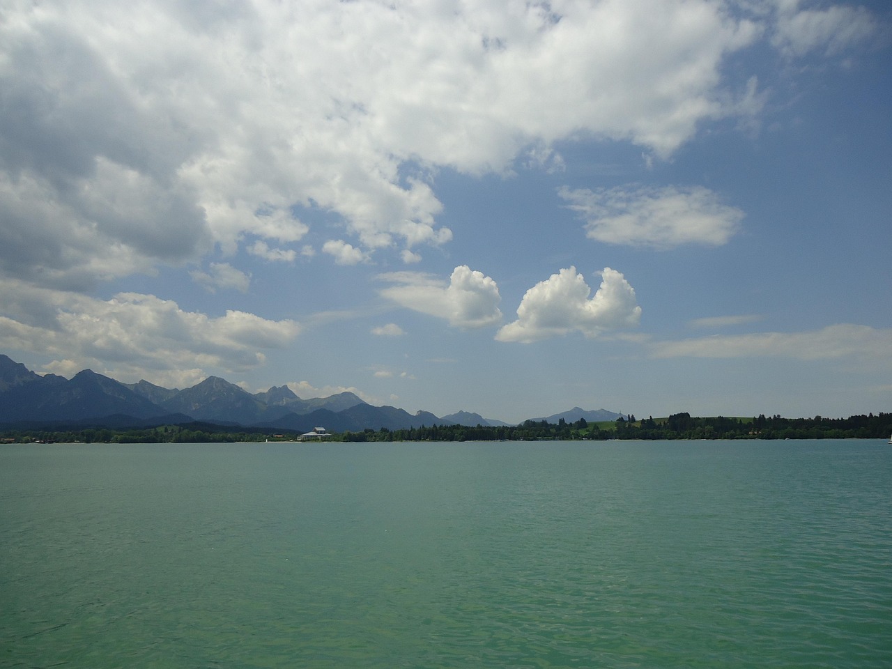 成都怡心湖最新动态揭秘,未来无限可能的发展蓝图