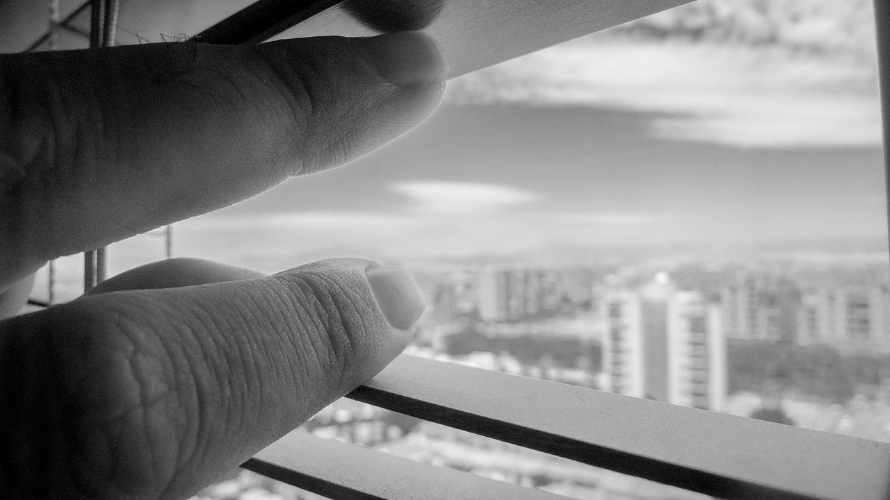 肇庆端州楼市价格最新动态更新,市场走势与价格变动分析