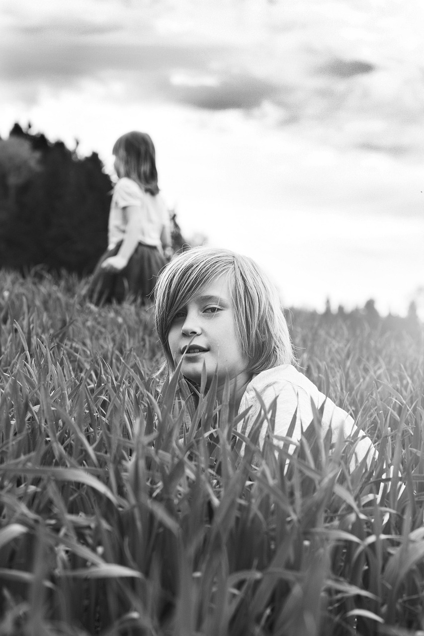 河北自贸区最新动态,蓬勃发展中的新机遇与挑战揭秘