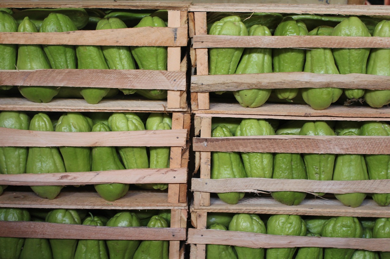 如皋城市发展前沿动态与新鲜资讯速递