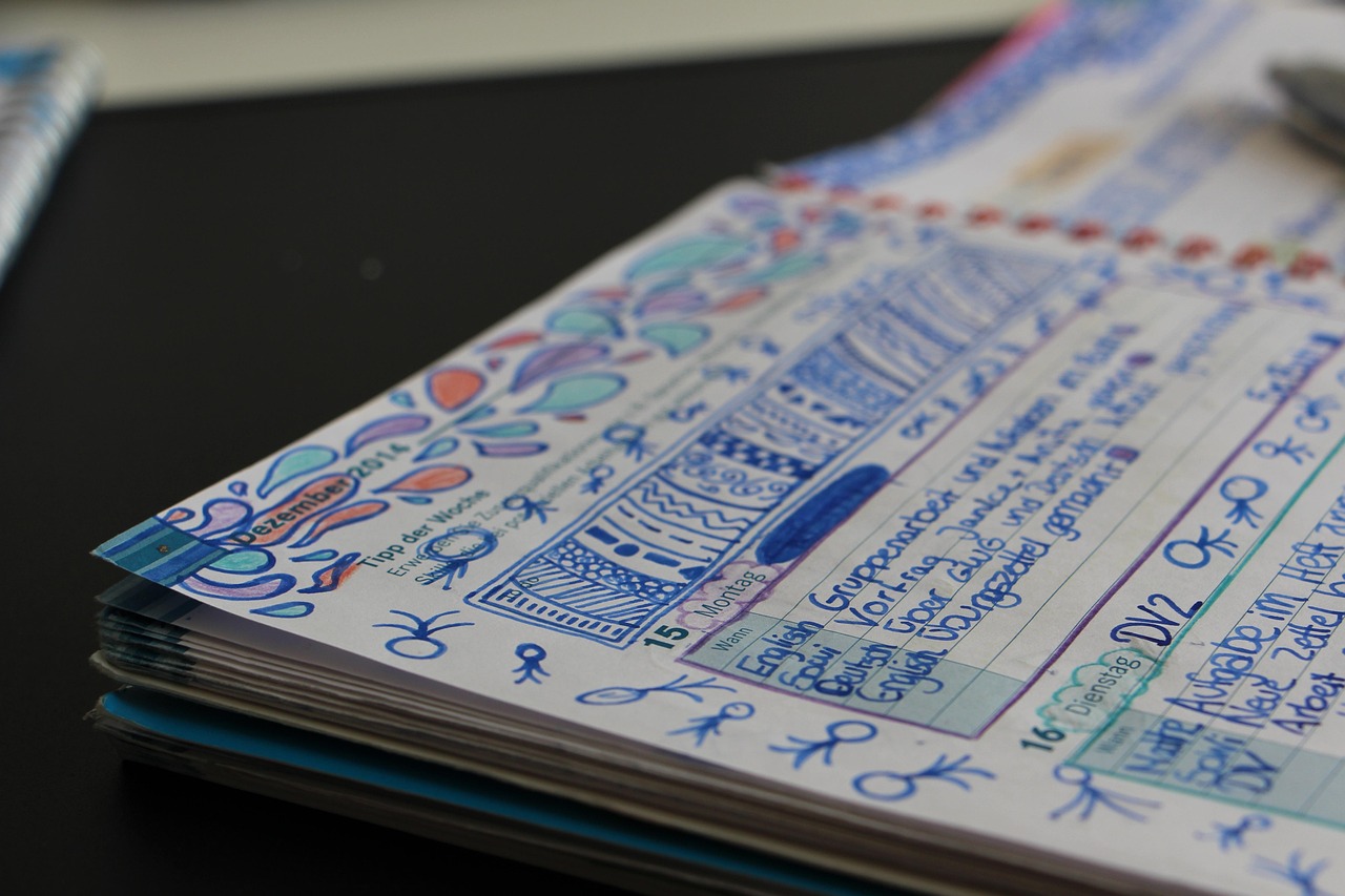 四级资讯速递,最新动态与深度解读