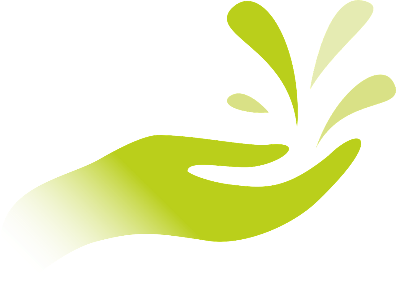 三亚有轨电车迈向智能化绿色化新征程的最新动态
