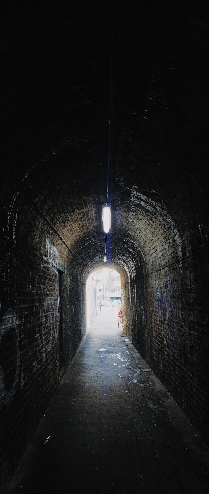 黑暗圣经动漫在线观看之旅,探索神秘领域的冒险