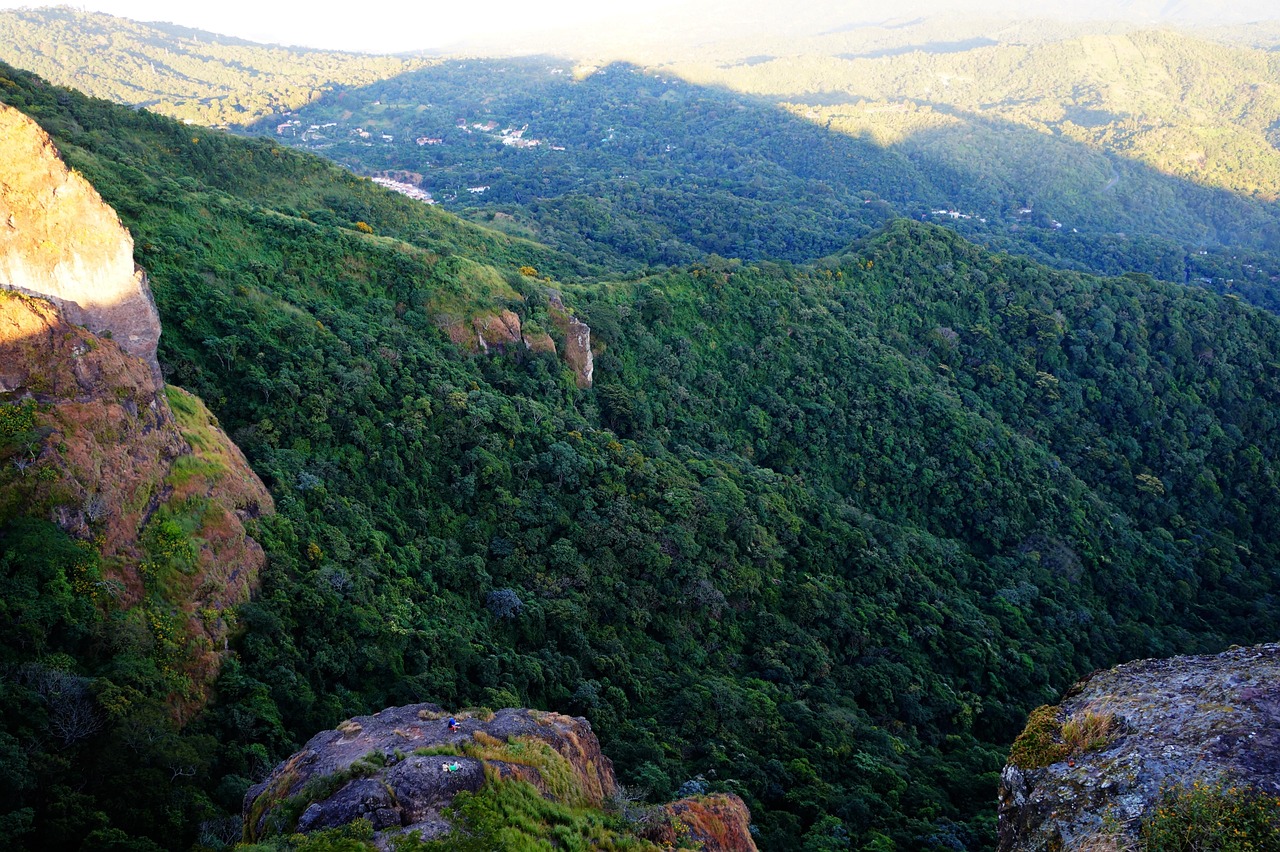 宿松县肺炎疫情实时动态更新